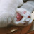 @user-um2bb4xj4p