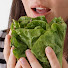 HzpTQ2bnE5c-channel-avatar-Hungry Herbivore ASMR