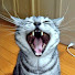 cxCvRt-ejKY-channel-avatar-haru sun