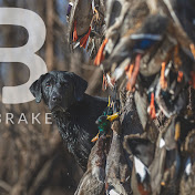 Lost Brake