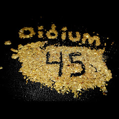 Oidium45 net worth