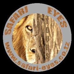 Safari Eyes channel logo