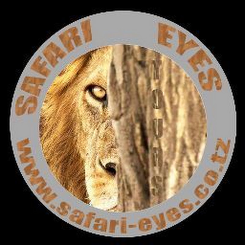 Safari Eyes channel avatar