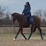 vSTyJVdrwb0-channel-avatar-samantha burgess