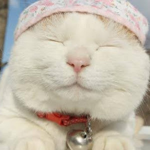 UC2GD5tOGcN7bzANz0wq0ILw YouTube channel image