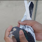 PIGEON LOVERS JHELUM logo
