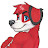 Beagle.in.red
