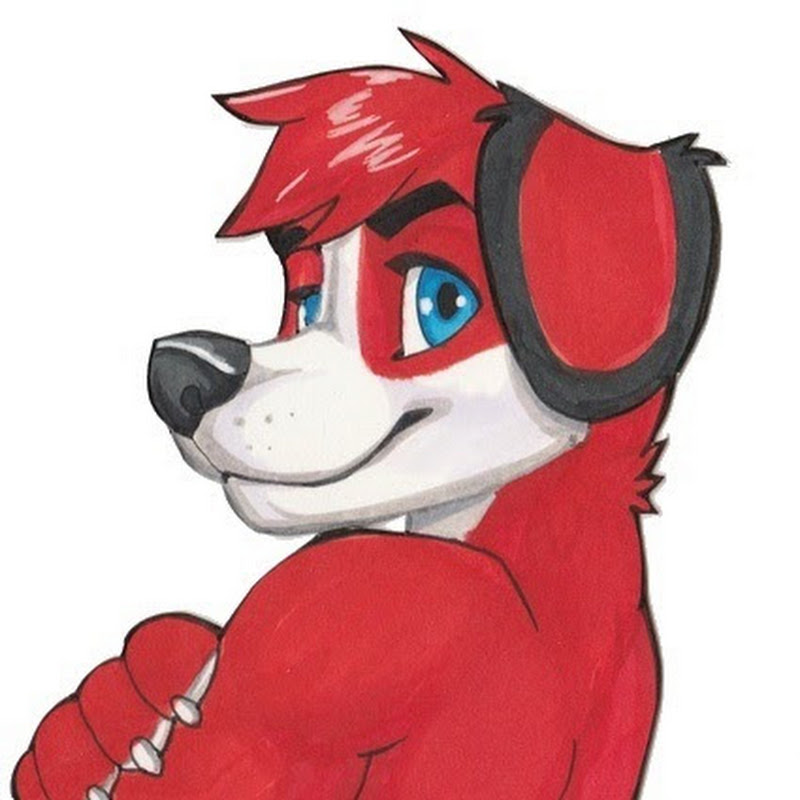 Beagle.in.red