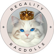 Regality Ragdolls