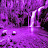 @rainystorm631west2 Avatar