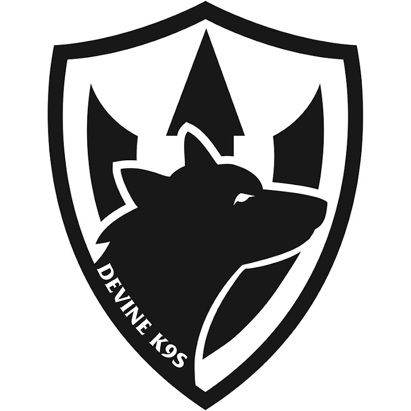 DevineK9s