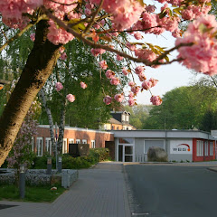 Willy-Brandt-Gymnasium WeBloG
