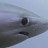@AM-iv6sl