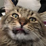 kIBulmhRw-M-channel-avatar-There Will Be Fudd