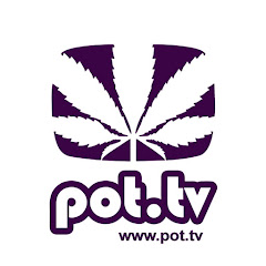 Pot TV net worth
