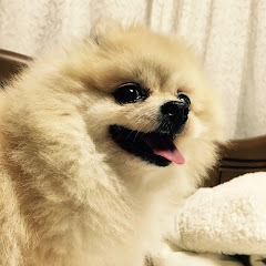 醤油さん