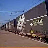 Автор