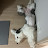 @Happydog_Cutie