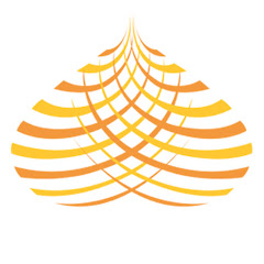 Darul Musthafa channel logo