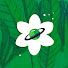 P9Csouw5mXo-channel-avatar-Pulkovsad
