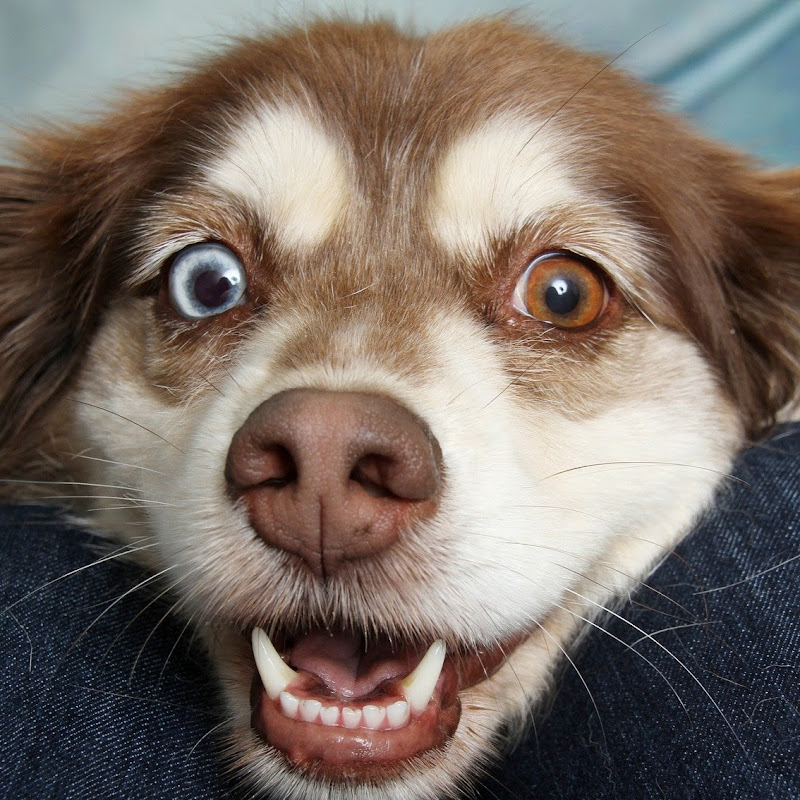 1 hour of silence occasionally broken by