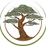 uyT-R--S5y0-channel-avatar-Crawford Wellness
