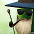 gcI6V7RJXoc-channel-avatar-Bearded Bamboo