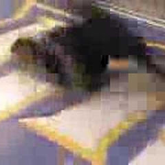 mexirican5688の画像