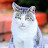 @bernardnegrin2504 Avatar