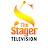 The Stager Television
