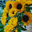@brinko24able