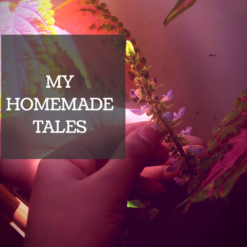 MY HOMEMADE TALES