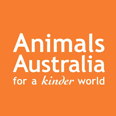 Animals Australia