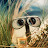 AIdro mZPemSPlclXwAl5K7zIh3ss3aG9aoUv6xleZW3a2RcLZg=s48 c k c0x00ffffff no rj