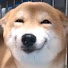 BuZNxXQdteg-channel-avatar-Dingo