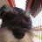@adrianasalasarrieta4203 Avatar