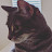 @chrisday5341's avatar