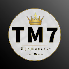 TheManes7 channel logo
