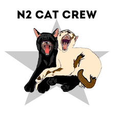 N2 Cat Crew net worth