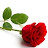 @karthikn8662