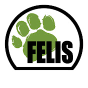 Felis Creations TV