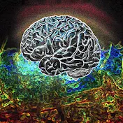 Money Brain