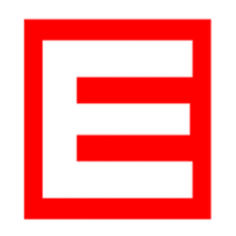 ErdmanVideoSystems logo
