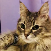 のるのる