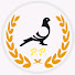 1eLOIY0hxTc-channel-avatar-Pigeon Power