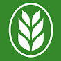 Gerstenberg Verlag Avatar