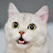 @인생은즐거워-m9c