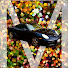 bd6tNIwGD-w-channel-avatar-Mechonomist
