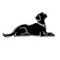 n9hcLbTpWqQ-channel-avatar-BlueDog Films