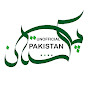 Unofficial Pakistan logo